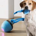 thumbnail image 2 of Interactive Dog Toys Ball,2025 Smart Pet Puppy Ball with Ropes,Random Electric Automatic Moving and Rolling Dogs Toy,Rolling Balls for Small Medium Large Dogs Daily Training, 2 of 8