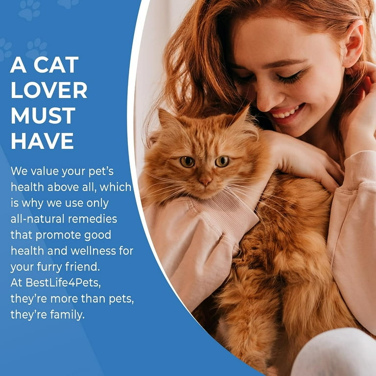 Cat 2025 uti treatment
