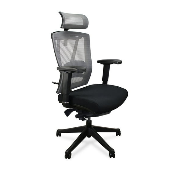 Autonomous Ergochair Premium Ergonomic Office Chair