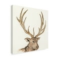 thumbnail image 2 of Trademark Fine Art Animals Canvas Art ' Gilded Elk ' by Chris Paschke, 2 of 3