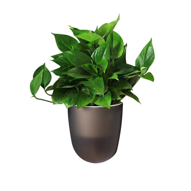 Monstrate Maceta de esquina montada en la pared, maceta de riego automático, maceta de plástico de gran tamaño para el hogar con ganchos, Jardín y Patio Negro