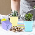 thumbnail image 6 of 24 Pack Multi Color Plastic Plant Pot,Colorful Plastic Square Pots,Mini Plastic Square Planters for Indoor Outdoor Plants Flowers,Garden,Office,Home Decor,with Pallet, 6 of 14