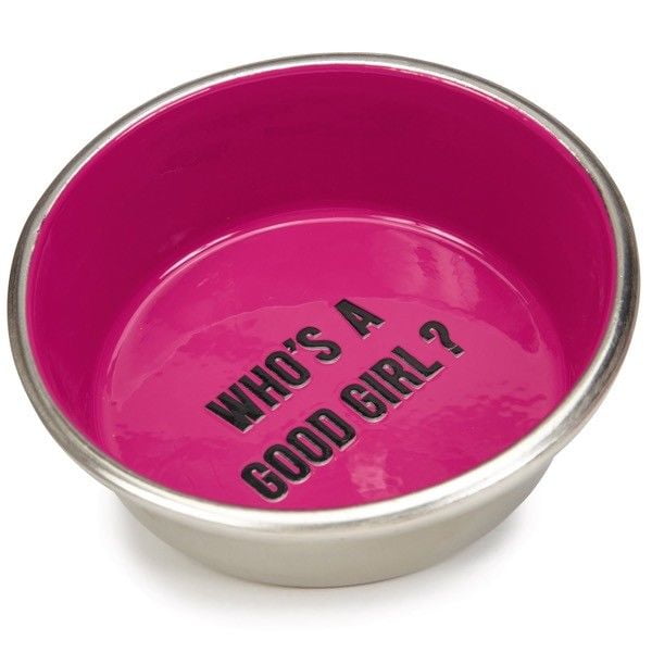 Chit Chat Dog Bowls Pet Dish Playful Sayings Stainless Steel Choose