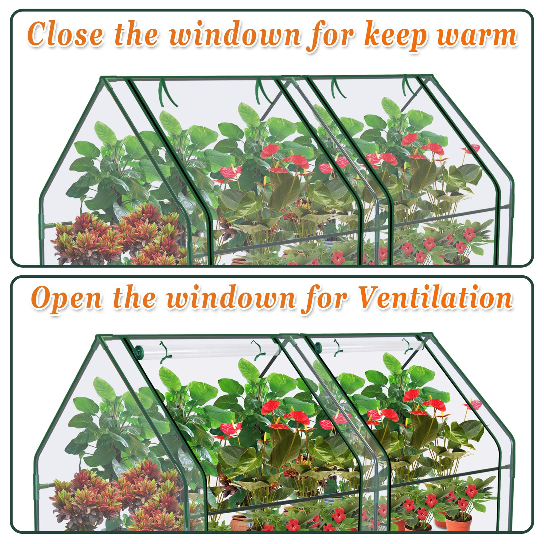 SUNNY Portable Mini Greenhouse Small Garden Greenhouse for Plants/Flowers/Vegetables (3'X6'X3')
