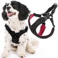 thumbnail image 1 of Gooby Escape Free Sport Harness - Black, Small - No Choke Step-in Patented Neoprene Small Dog Harness with Four-Point Adjustment - Perfect on The Go Dog Harness for Medium Dogs No Pul, 1 of 7
