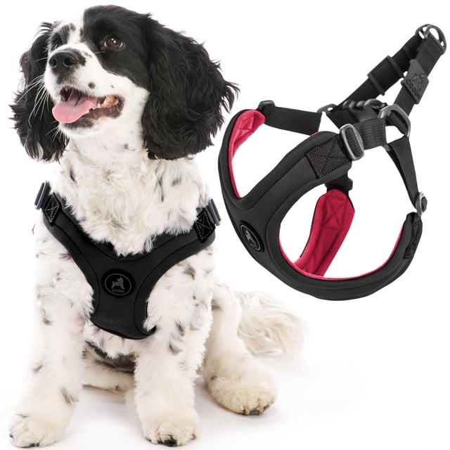 Gooby Escape Free Sport Harness - Black, Small - No Choke Step-in Patented Neoprene Small Dog Harness with Four-Point Adjustment - Perfect on The Go Dog Harness for Medium Dogs No Pul