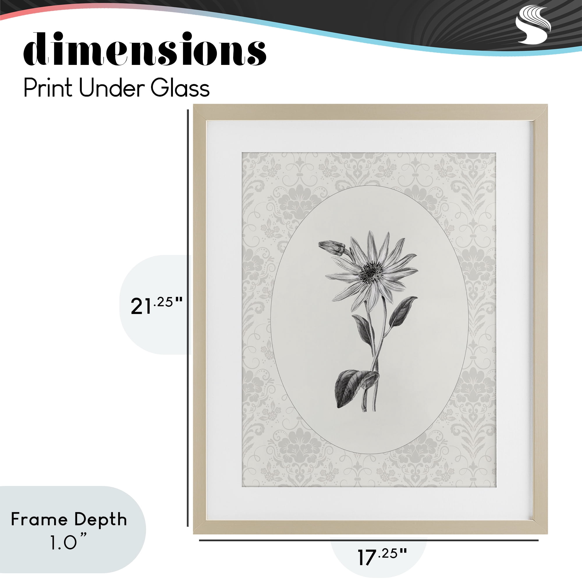 Stupell Industries Antique Botanical & Lace Birch Framed Print Under Glass, design by CAD Designs