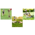thumbnail image 3 of Paquete Nupec sensitive razas pequeñas 8 kg + 1 juguete hueso de hilo Multicolor Fancy pets, 3 of 3