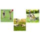 thumbnail image 3 of Paquete Nupec cachorro razas pequeñas 8 kg + 1 juguete hueso de hilo Multicolor Fancy pets, 3 of 3