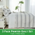 thumbnail image 4 of Gogreen Luxury Printed Quilt Set Twin Size, Lightweight Comforter Set, Oversized Bedspread Coverlet Quilted Bedding Set, with 2 Matching Pillowcases, for All Season, 4 of 9