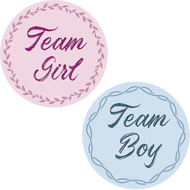 40pcs Gender Reveal Stickers Team Boy Team Girl Label Stickers Blue And Pink Round Stickers