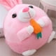 thumbnail image 5 of Pelota eléctrica de peluche que rebota USB repite palabras, regalo para niños, 5 of 5