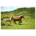 thumbnail image 1 of Horse Ceramic Tile Mural Kitchen Backsplash Bathroom Shower, 402890-S64, 1 of 9