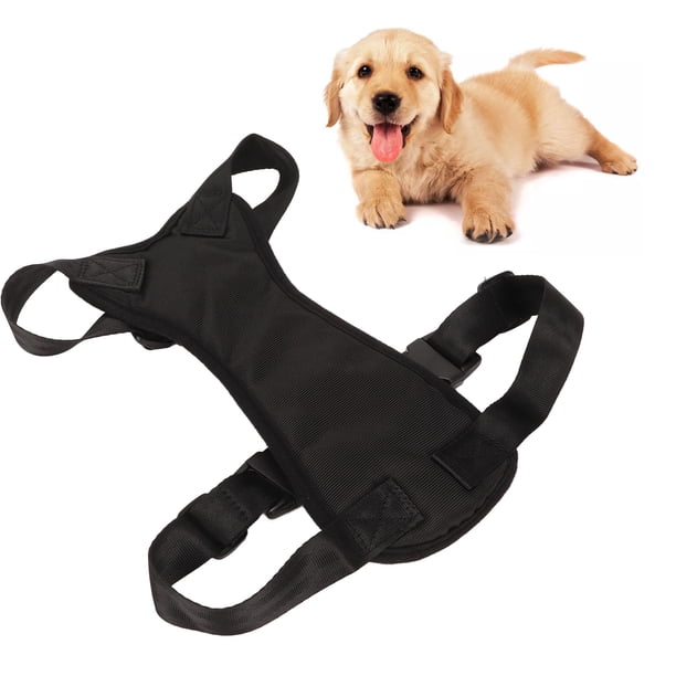 Arnés para Perros, Arnés de Coche Ajustable Para Perros, Juego de Cinturón de Seguridad para Perros Pequeños y Medios, Arnés para Cachorros, Arnés para Perros de Tamañoño