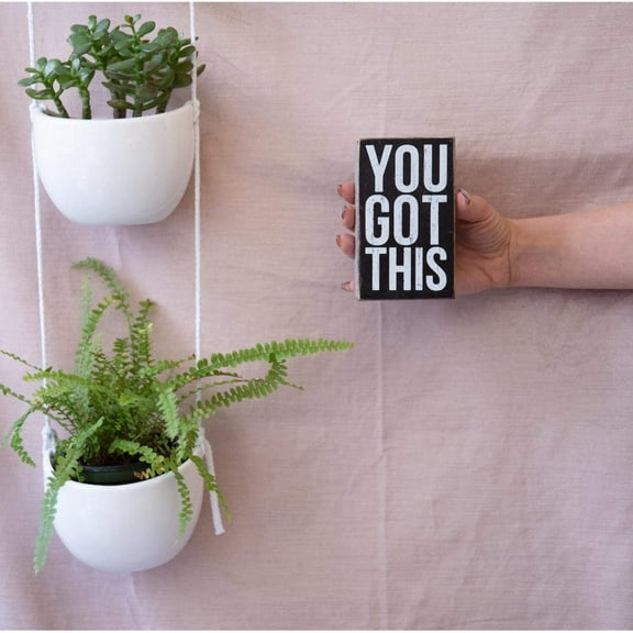 Primitives by Kathy Mini Box Sign, 3" x 5", You Got This 14160317