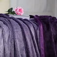 thumbnail image 4 of PiccoCasa Striped Plush Fuzzy Lightweight Flannel Fleece Blankets Twin/ Full/ King Size, 4 of 7