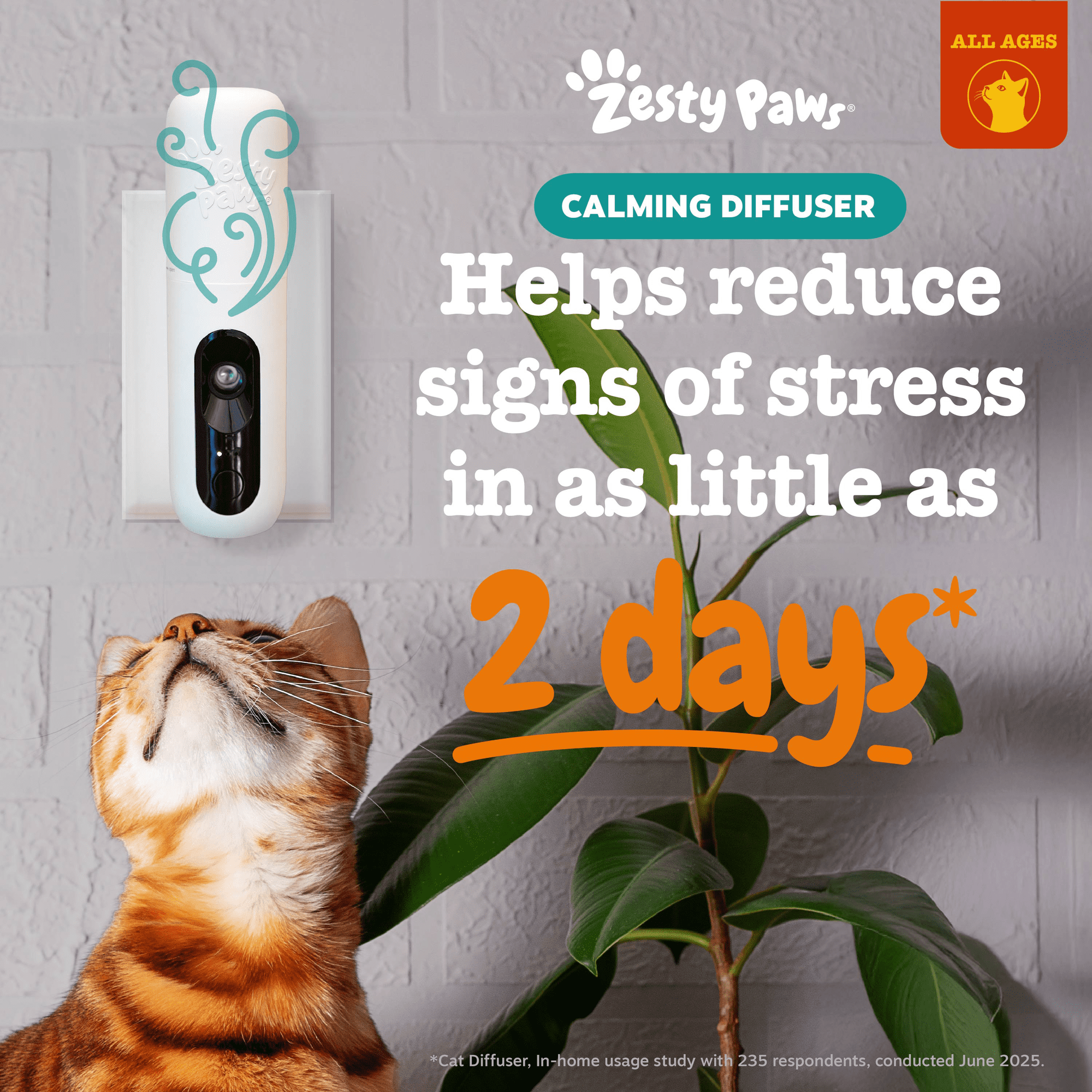 (6 pack) Zesty Paws Cat Calming Diffuser - Starter Kit