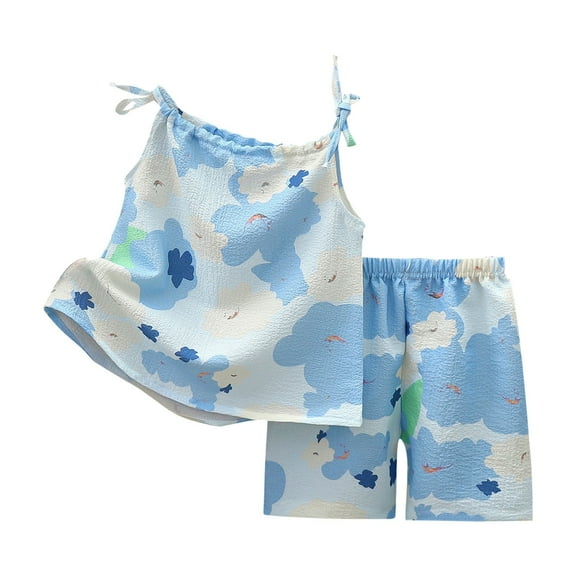 FDDMis Toddler Girl Clothing Set 2t Girls Matching Outfits 5 T Girls Outfits Girls Athletic Tops and Gym Shorts 3 to 6 Month Baby Girl Clothes, Blue 12-18 Months