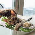 thumbnail image 2 of Hamaca Colgante Reversible para Gatos Jetec, Suave y Transpirable, 2 Piezas, 2 of 7