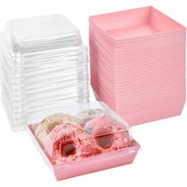 100PCS Small Charcuterie Boxes with Clear Lids, To Go Paper Disposable Food Containers, 5 Inches Bakery Dessert Boxes for Sandwich, Cookie, Pastry, Cake Slice