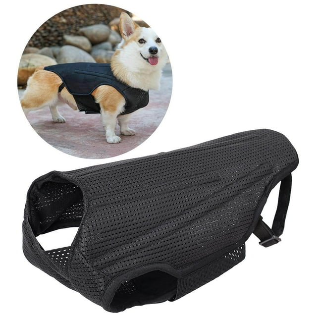Maoww Dog Back Brace Pet Back Pads Flexible Back Support Wrap for Injured Old Dogs L
