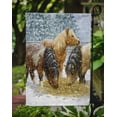 thumbnail image 3 of Carolines Treasures ASA2146GF Poneys Shetland Drapeau Jardin Taille, 3 of 3