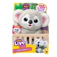 thumbnail image 4 of Little Live Pets My Baby Koala Kiki, Interactive Plush with 40+ Sounds & Reactions. 10.2" Tall, Really Yawns, Feeds on Leaf, Ages 4+, 4 of 13
