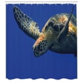 thumbnail image 3 of Ambesonne Turtle Shower Curtain, Sea Animal Swimming, 69"Wx84"L, Blue Yellow, 3 of 3