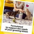 thumbnail image 6 of Temptations Kitten Salmon And Dairy Flavor Crunchy And Soft Treats For Kitten, 3 Oz Pouch, 6 of 10
