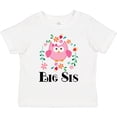 thumbnail image 3 of Inktastic Big Sis Girls Sister Announcement Girls Toddler T-Shirt, 3 of 5