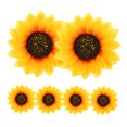 thumbnail image 6 of ibasenice 6-Pack Multi-Colored Stylish Hair Clips for Women, Accessories for Everyday Use and Daily Life, 6 of 7