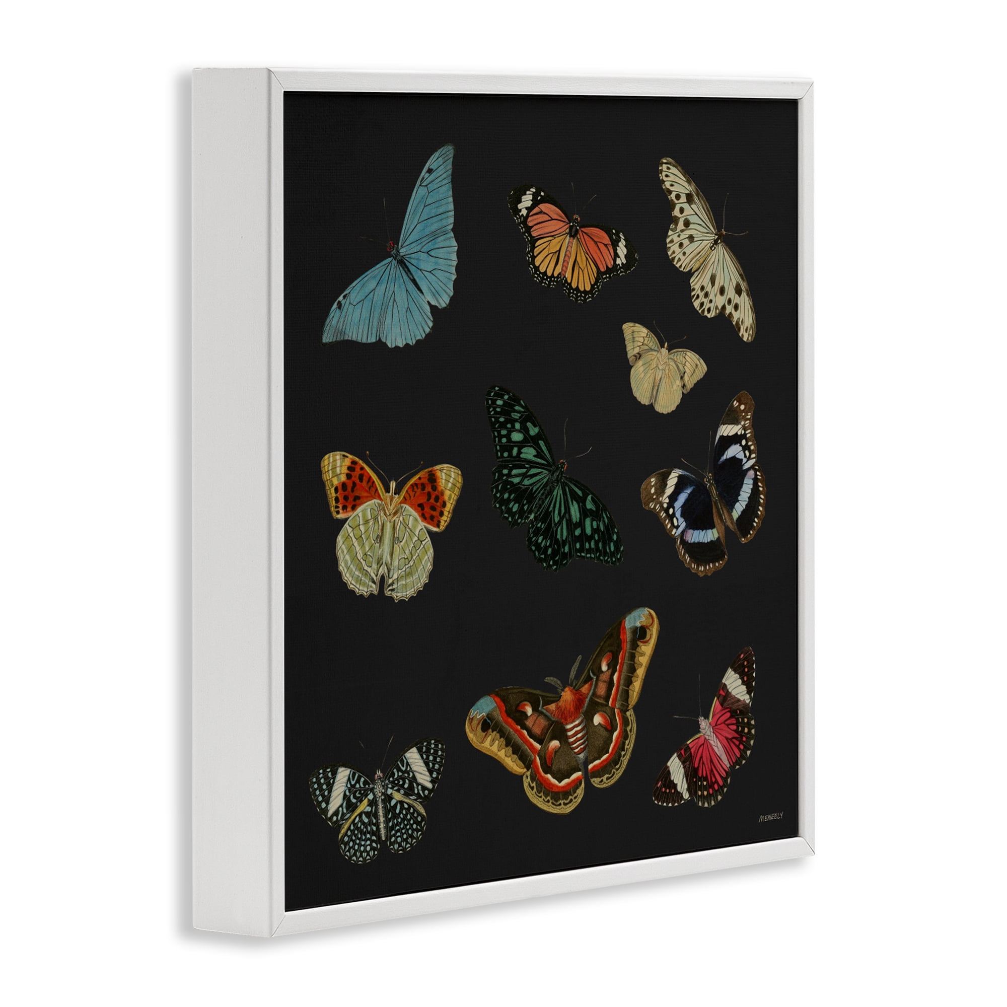 Stupell Industries Insects Group on Black White Framed Giclee Art, design by Dan Meneely