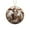 C, variant on Sacred Name Christmas Ornaments Collection, 25 Religious Pendants with Biblical Names for Themed Tree