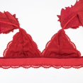 thumbnail image 2 of Adjustable Strap Sexy Cute Triangle Bralette with Wings and Lace Bikini Panties for Women, 2 of 5