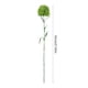 thumbnail image 3 of Plantas de dianto verde artificial con pompones - Pack de 2 flores artificiales para decoración del hogar y hotel, vegetación plástica de 21,6" de altura, materiales florales para jardinería, 3 of 6