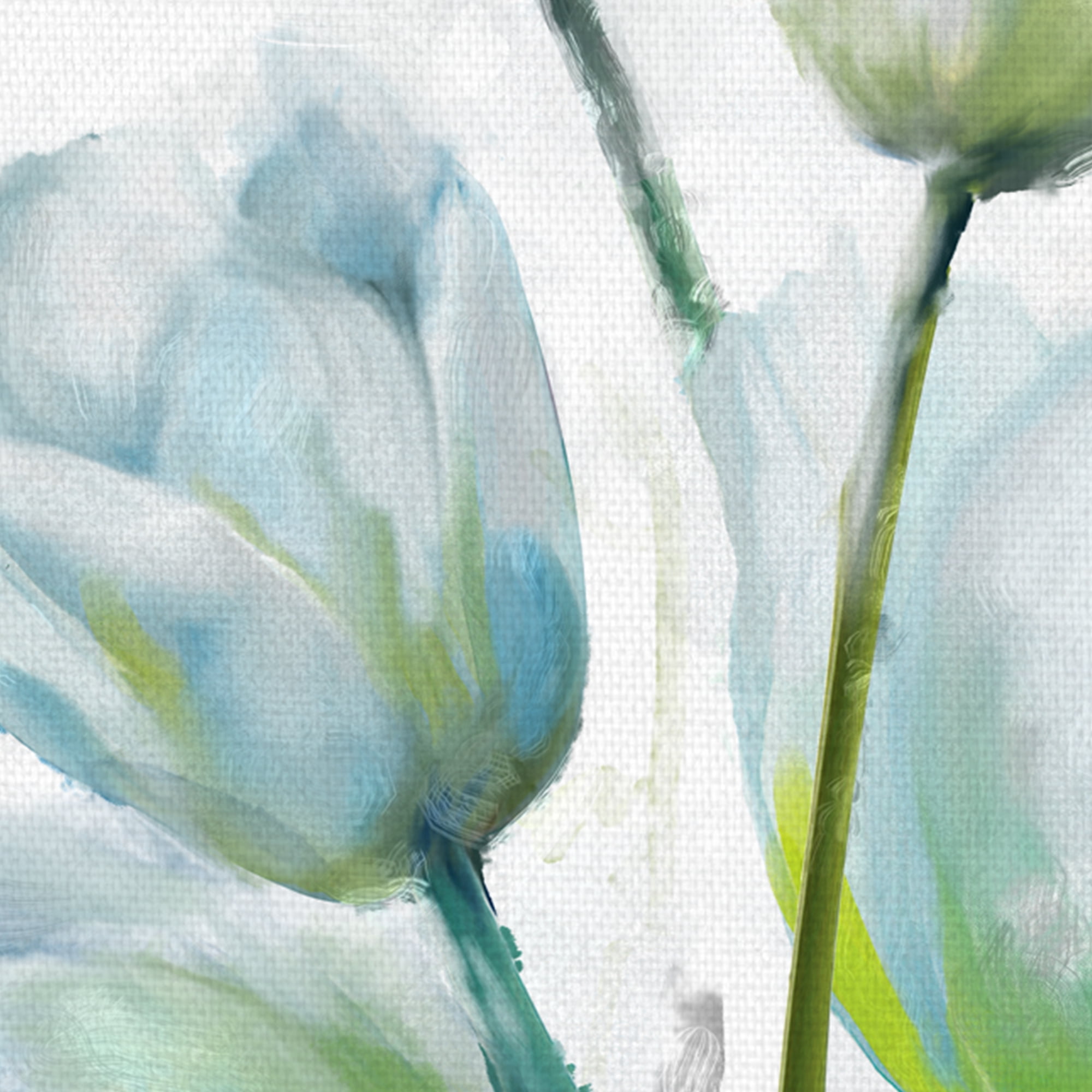 Tulip Gethering I-II by Studio Arts Wrapped Canvas Art Print Set of 2
