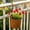 Bronze-B/B, variant on Steel Planter Box Patina Finish Metal Flower Pot Heavy Duty Weather Outdoor Garden