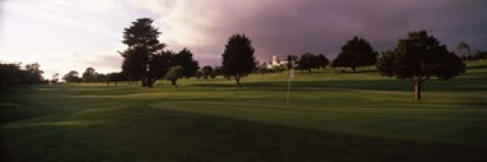 Trees In A Golf Cou