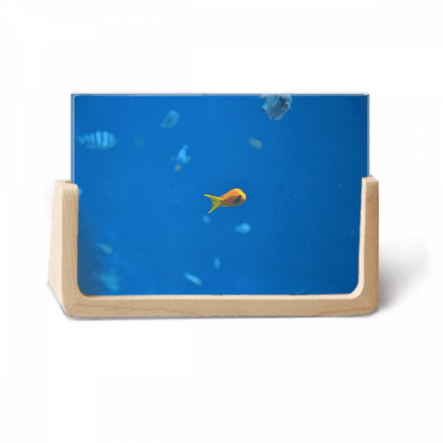 Cadre Photo en Bois Nature Science des Poissons Océaniques pour Table