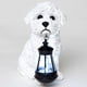 thumbnail image 1 of Bits And Pieces - Estatua De Farol Solar Bichón - Farol De Jardín Con Energía Solar - Escultura De Perro Blanco De Resina Con Luz Led - Iluminación Exterior Y D?Or Maltés Boloñés Cotón De Tulear Haban, 1 of 5