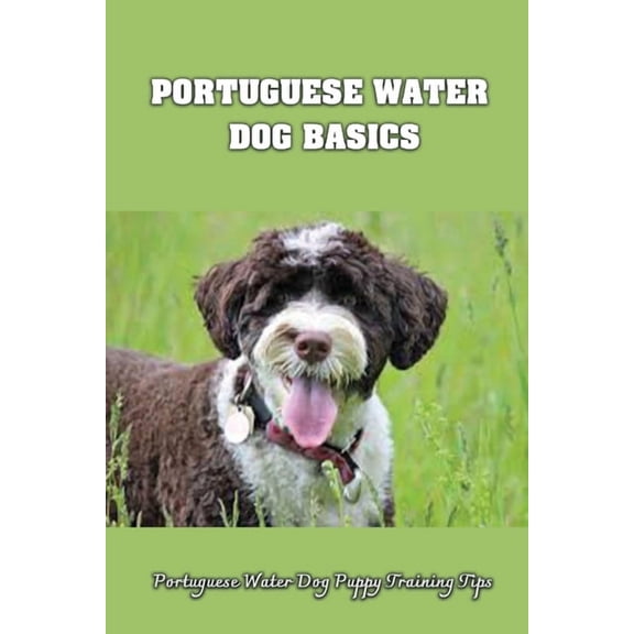 Portuguese Water Dog Basics: Portuguese Water Dog Puppy Training Tips: Top Activities For Portuguese Water Dogs