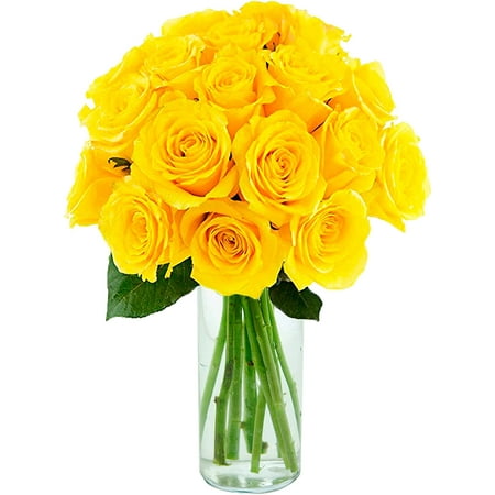Arabella Farm Direct Bouquet of 18 Fresh Cut Yellow Roses with a Free Glass Vase