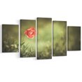 thumbnail image 2 of Fleur de Coquelicot Sauvage Rouge sur Fond Vert - Impression sur Toile Florale, 2 of 3