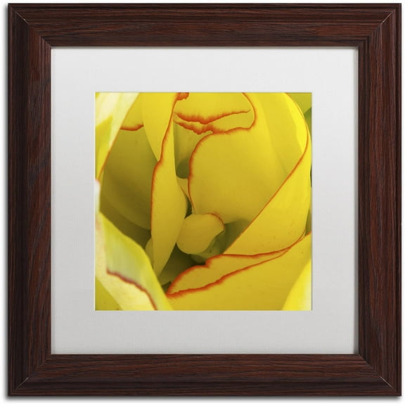 Trademark Fine Art "Inside a Beautiful Tulip" Canvas Art by Kurt Shaffer, White Matte, Wood Frame
