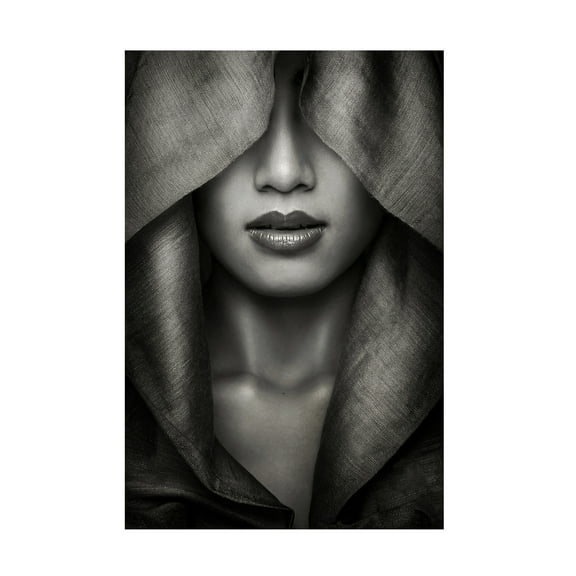 Azalaka 'Hood' Canvas Art