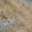 Taupe, variant on Addison Rugs Chantille Indoor/Outdoor Transitional Floral Aloe Machine Washable Rectangle Rug, 10' x 14'