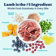 thumbnail image 4 of Solid Gold Hund-N-Flocken Dog Food, Lamb 4lb, 4 of 12