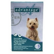 Angle View: Bayer ADVANTAGE6-TEAL Advantage 6 Pack Dog 11-22 Lbs. - Teal