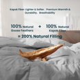 King Size Goose Feather Down Comforter UltraSoft 100 Cotton Cover