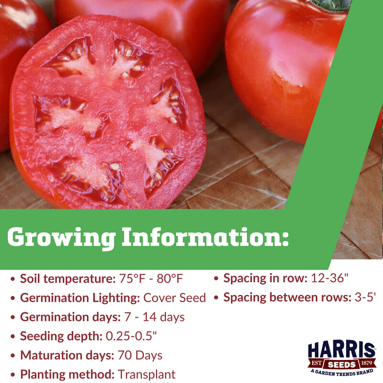 【レッチリとまと】 Tomato Red Snapper F1 Seed – Harris Seeds
